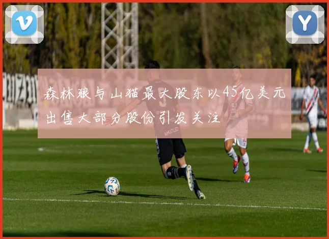森林狼与山猫最大股东以45亿美元出售大部分股份引发关注